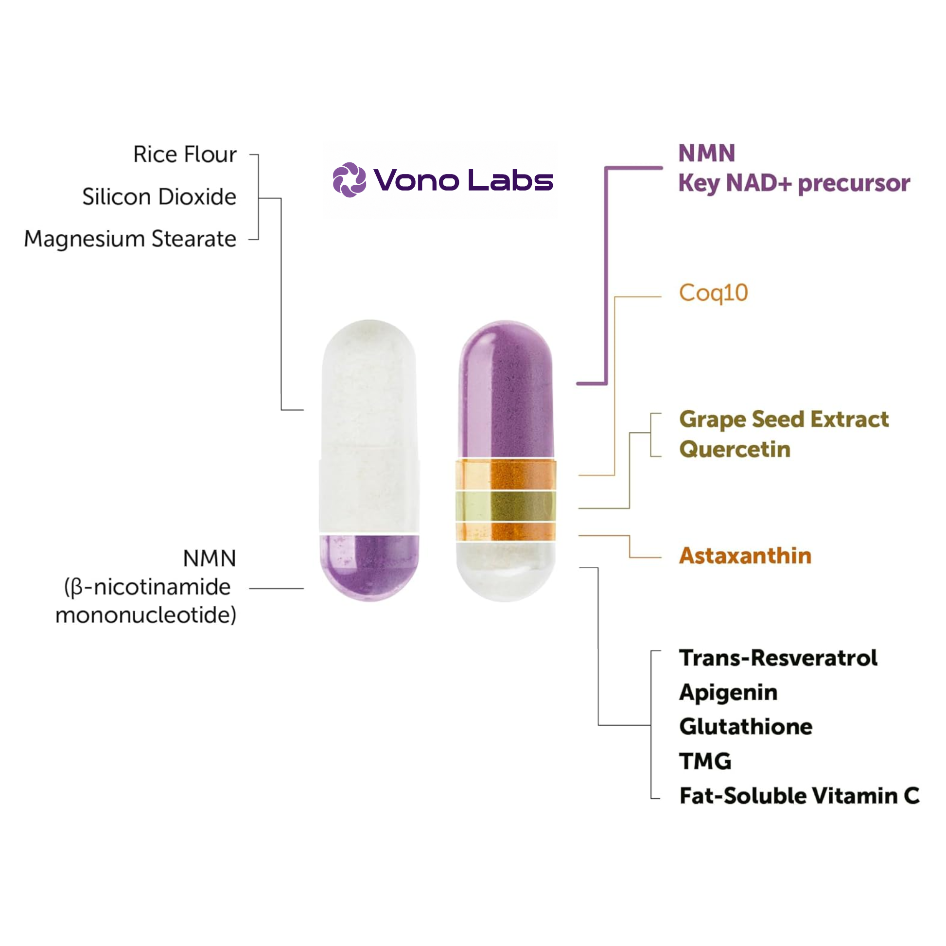 NMN Complex 1000mg 120 Capsules