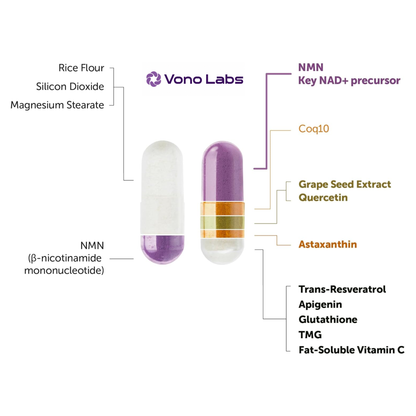 NMN Complex For Cellular Energy & Healthy Aging